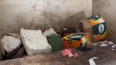 Haga click para ver la vista previa del vídeo.