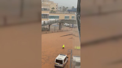 Haga click para ver la vista previa del vídeo.