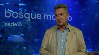 Haga click para ver la vista previa del vídeo.