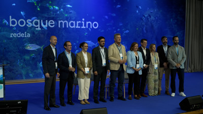 Haga click para ver la vista previa del vídeo.