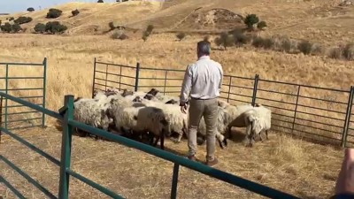 Haga click para ver la vista previa del vídeo.