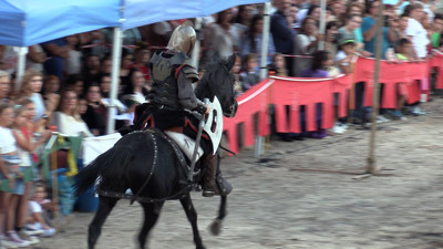 Haga click para ver la vista previa del vídeo.