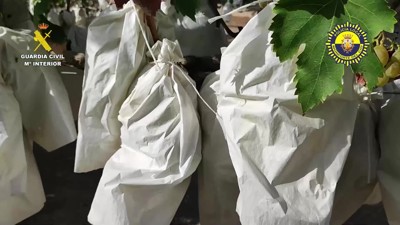 Haga click para ver la vista previa del vídeo.