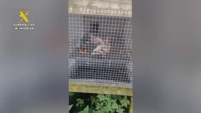 Haga click para ver la vista previa del vídeo.