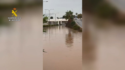 Haga click para ver la vista previa del vídeo.