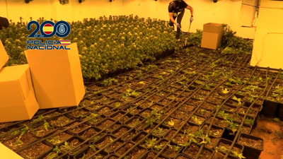 Haga click para ver la vista previa del vídeo.