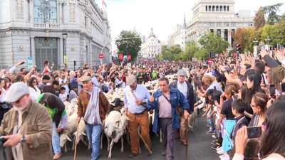 Haga click para ver la vista previa del vídeo.