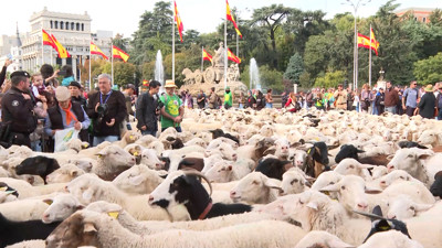 Haga click para ver la vista previa del vídeo.