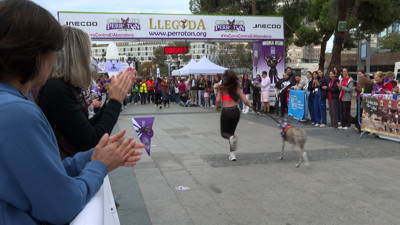 Haga click para ver la vista previa del vídeo.