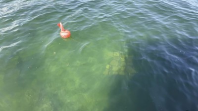 Haga click para ver la vista previa del vídeo.