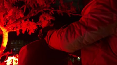 Haga click para ver la vista previa del vídeo.