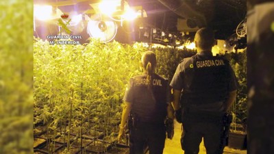 Haga click para ver la vista previa del vídeo.