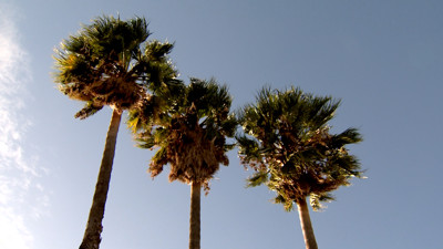 Haga click para ver la vista previa del vídeo.