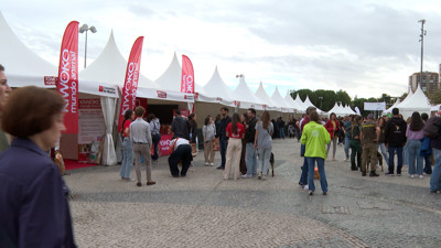 Haga click para ver la vista previa del vídeo.