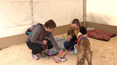 Haga click para ver la vista previa del vídeo.