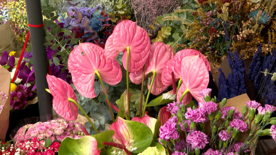 Haga click para ver la vista previa del vídeo.