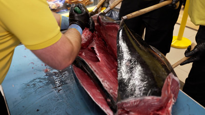 Haga click para ver la vista previa del vídeo.