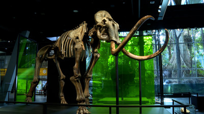 Haga click para ver la vista previa del vídeo.