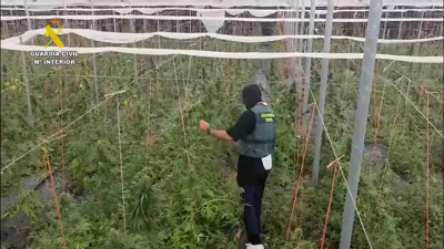 Haga click para ver la vista previa del vídeo.