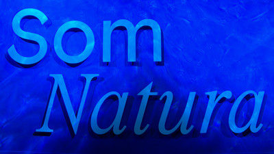 Haga click para ver la vista previa del vídeo.