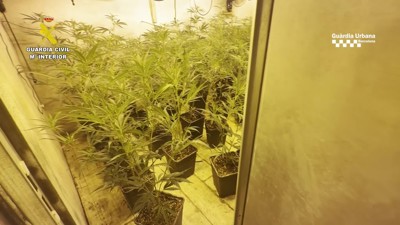 Haga click para ver la vista previa del vídeo.