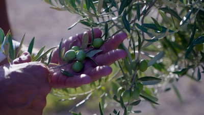 Haga click para ver la vista previa del vídeo.