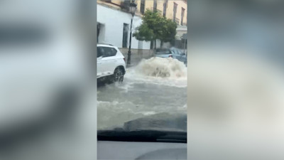 Haga click para ver la vista previa del vídeo.