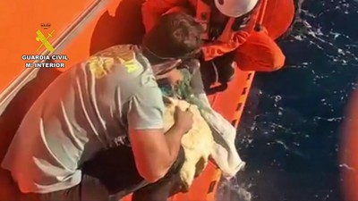 Haga click para ver la vista previa del vídeo.