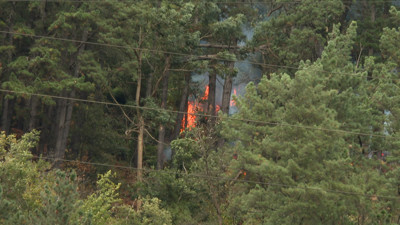 Haga click para ver la vista previa del vídeo.