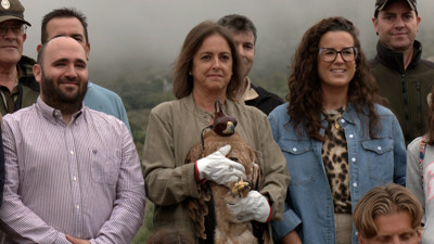 Haga click para ver la vista previa del vídeo.