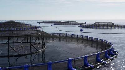 Haga click para ver la vista previa del vídeo.