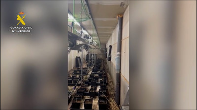 Haga click para ver la vista previa del vídeo.