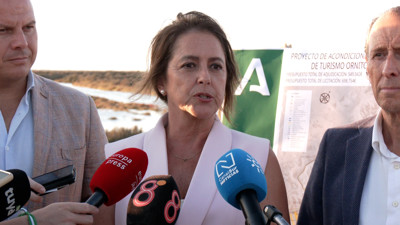 Haga click para ver la vista previa del vídeo.