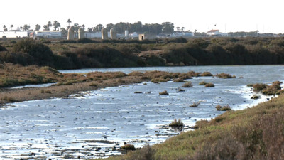 Haga click para ver la vista previa del vídeo.