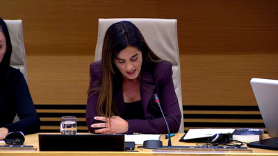 Haga click para ver la vista previa del vídeo.