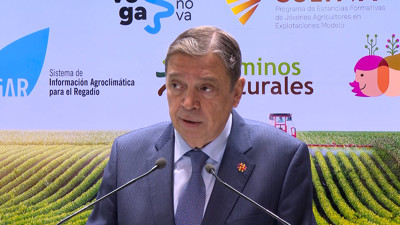 Haga click para ver la vista previa del vídeo.