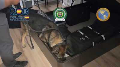 Haga click para ver la vista previa del vídeo.