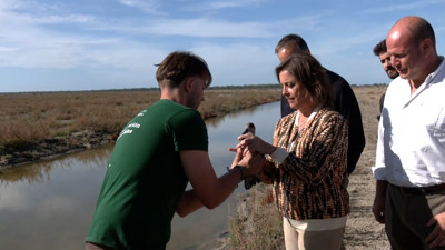 Haga click para ver la vista previa del vídeo.