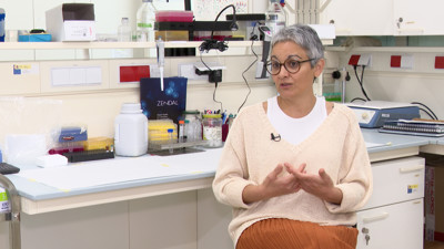 Haga click para ver la vista previa del vídeo.