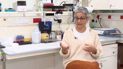 Haga click para ver la vista previa del vídeo.