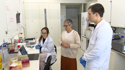 Haga click para ver la vista previa del vídeo.