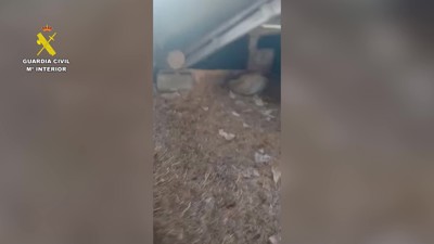 Haga click para ver la vista previa del vídeo.