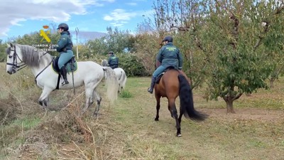 Haga click para ver la vista previa del vídeo.