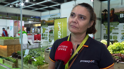 Haga click para ver la vista previa del vídeo.