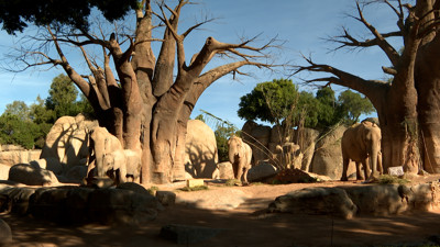 Haga click para ver la vista previa del vídeo.