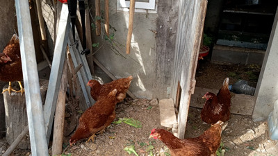 Haga click para ver la vista previa del vídeo.