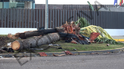 Haga click para ver la vista previa del vídeo.