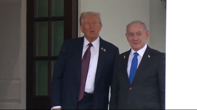 Haga click para ver la vista previa del vídeo.