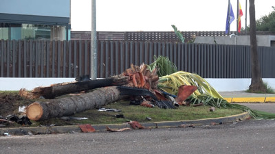 Haga click para ver la vista previa del vídeo.