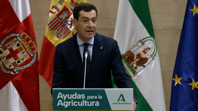 Haga click para ver la vista previa del vídeo.